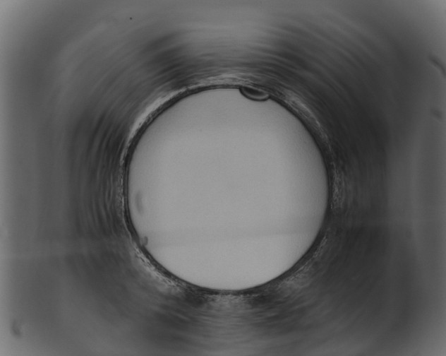 X0000100480800200807031850