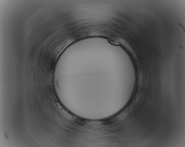 X0000100480801200807031850