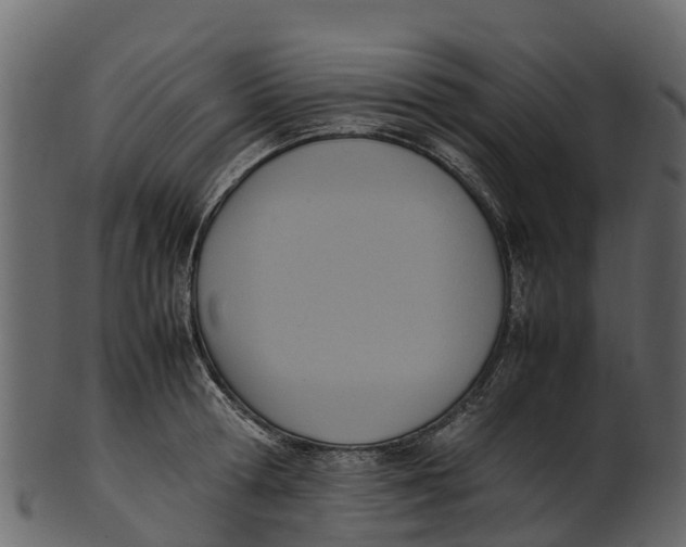 X0000100480802200807031850