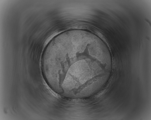 X0000100480803200807031850