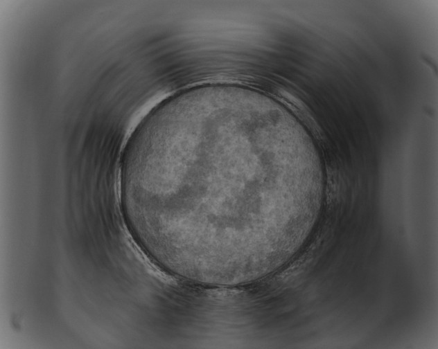 X0000100480804200807031850