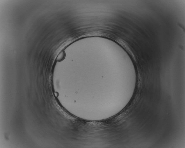 X0000100480805200807031850