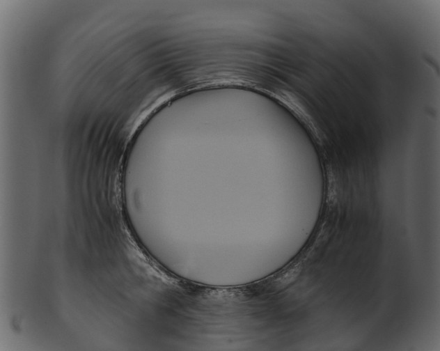 X0000100480806200807031850