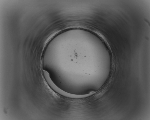 X0000100480807200807031850