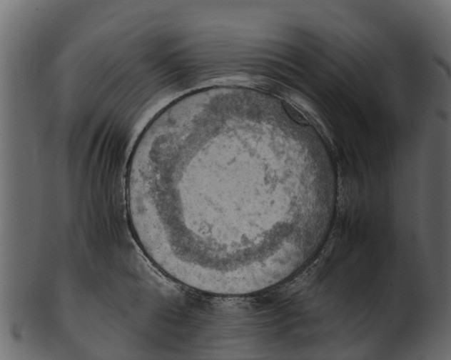 X0000100480808200807031850