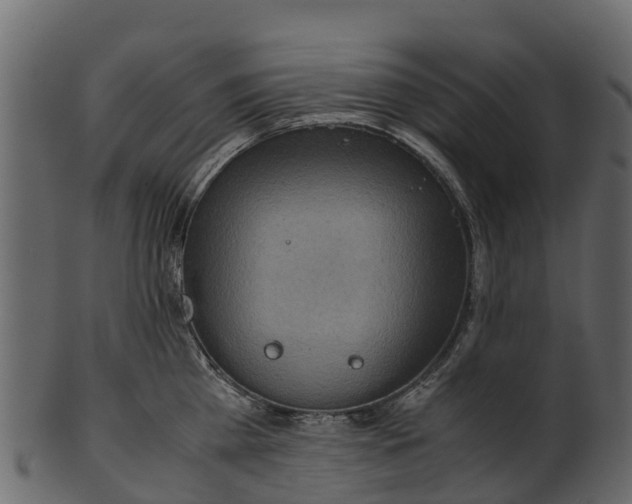 X0000100480809200807031850