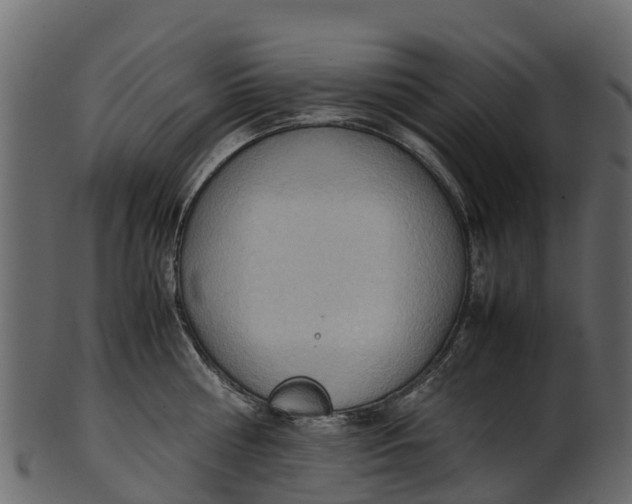 X0000100480810200807031850