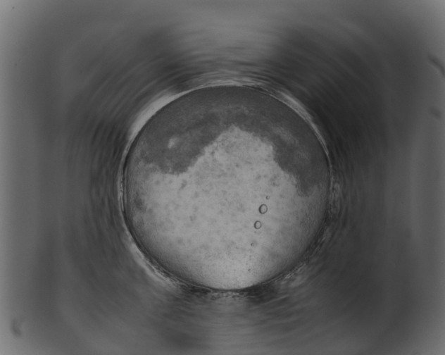 X0000100480811200807031850