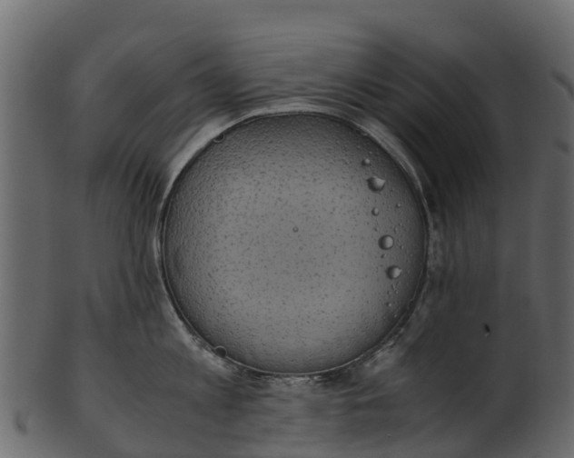 X0000100480813200807031850