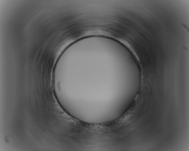 X0000100480815200807031850