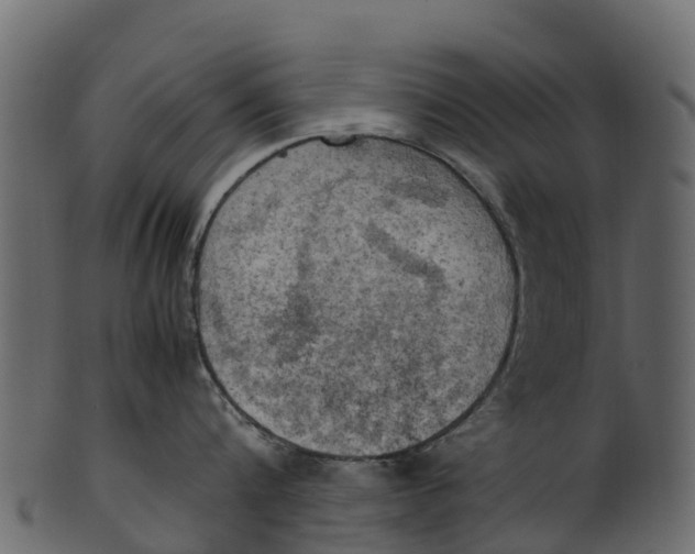 X0000100480816200807031850