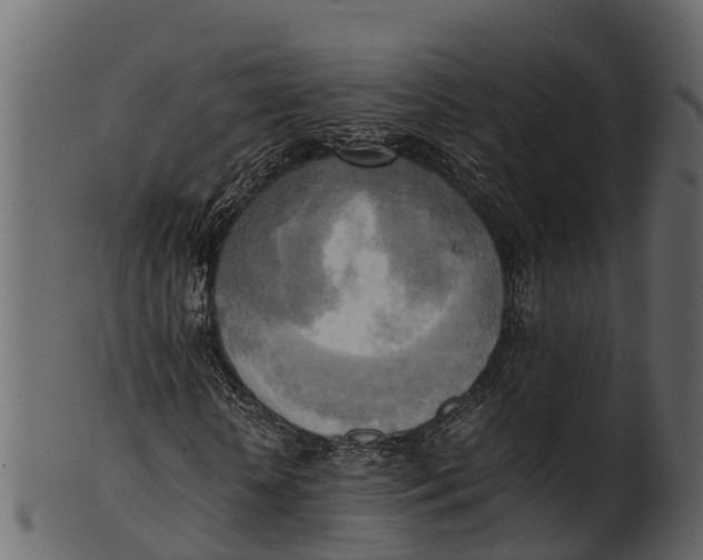 X0000100480818200807031849