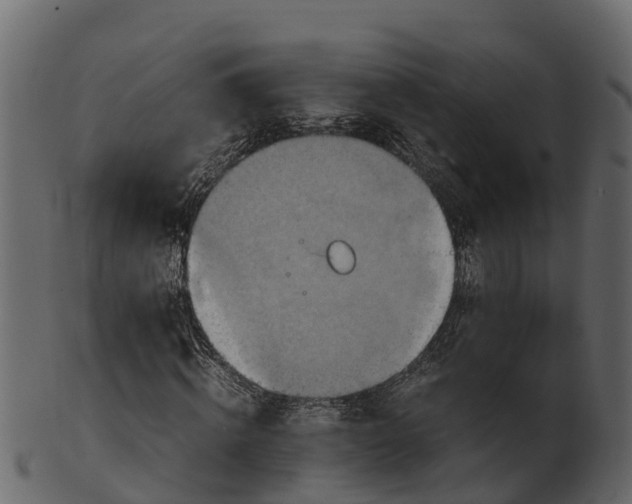 X0000100480820200807031849