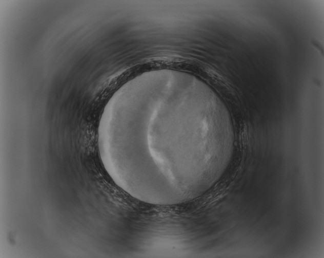 X0000100480822200807031849