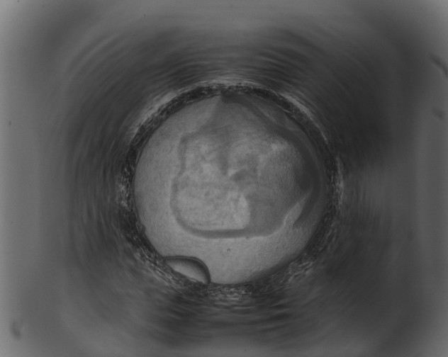 X0000100480823200807031849