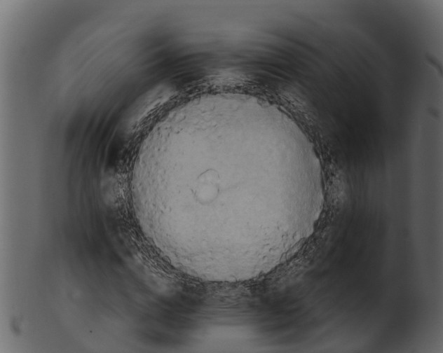 X0000100480824200807031849