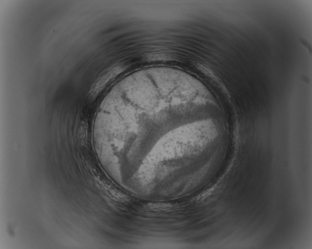 X0000100480825200807031849