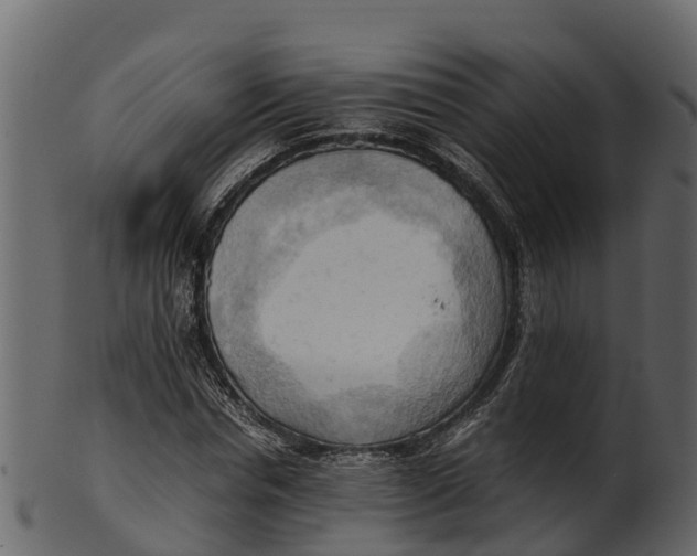 X0000100480826200807031849