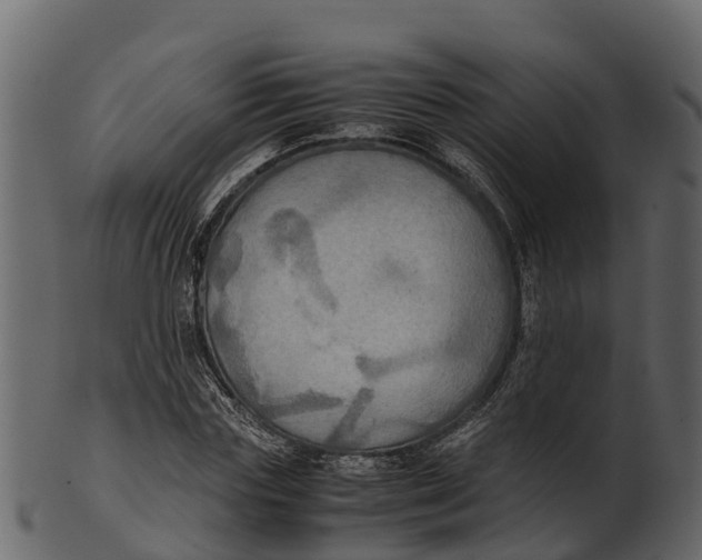 X0000100480827200807031849