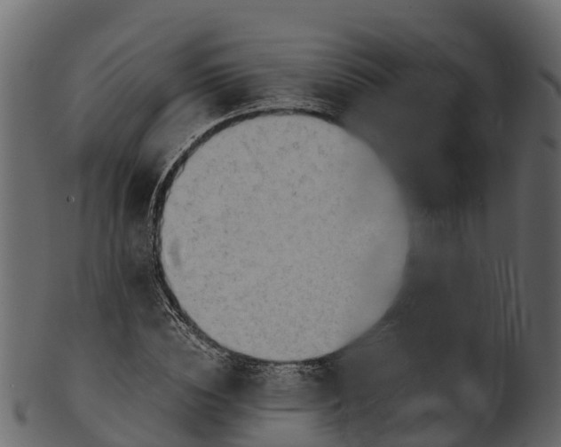 X0000100480828200807031849