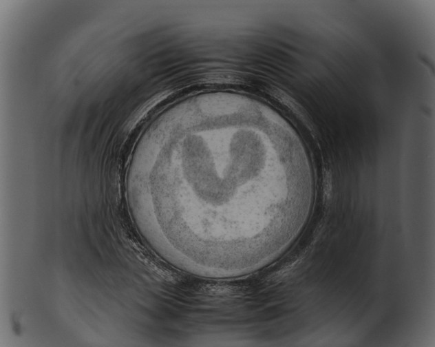 X0000100480829200807031849