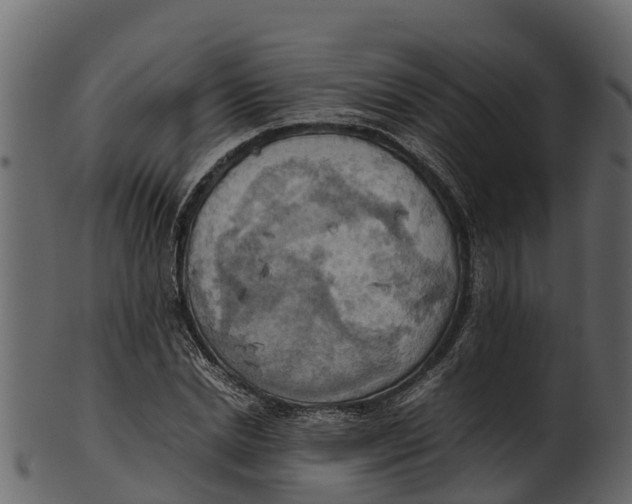 X0000100480830200807031849