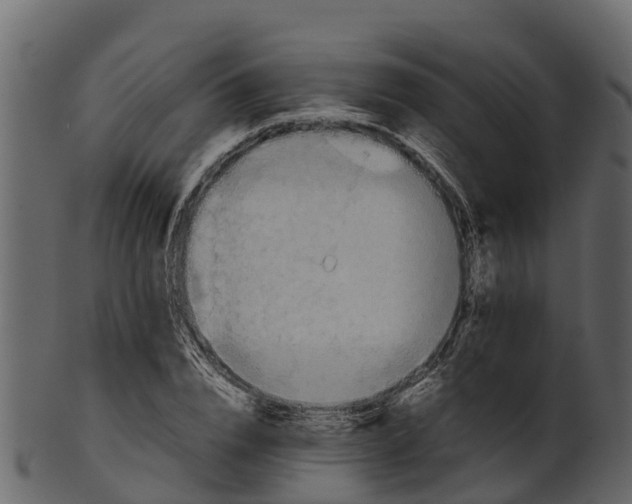 X0000100480832200807031849