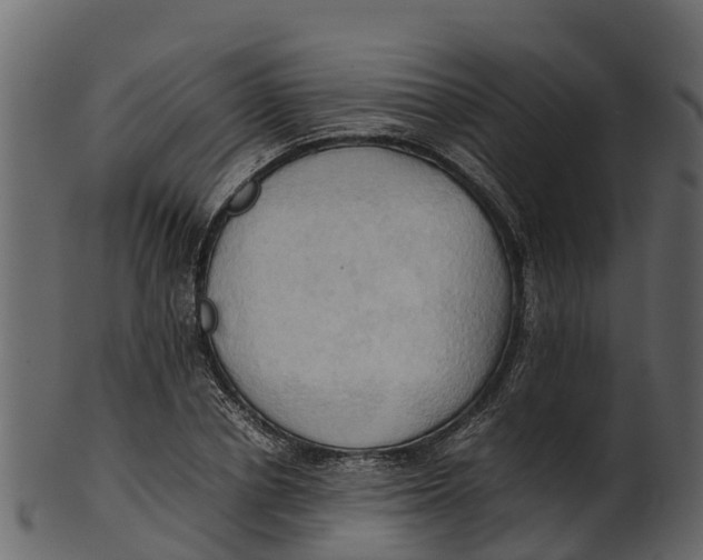 X0000100480834200807031850