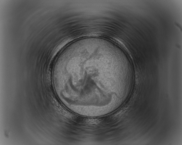 X0000100480835200807031850