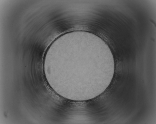 X0000100480836200807031850