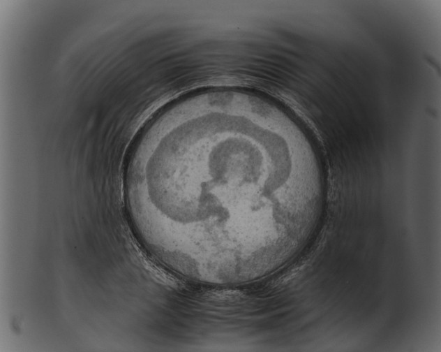 X0000100480837200807031850