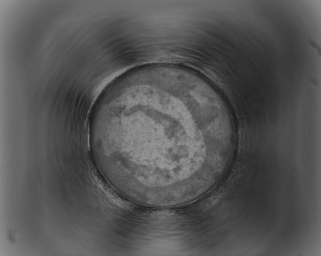 X0000100480838200807031850