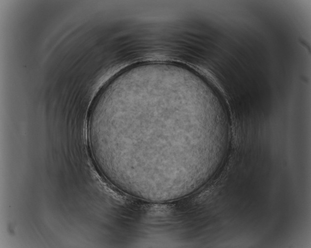 X0000100480839200807031850