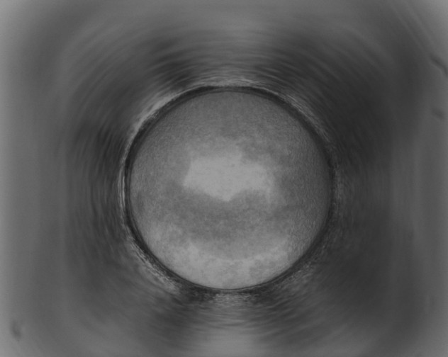 X0000100480840200807031850