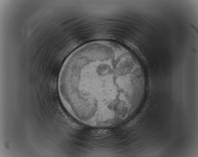 X0000100480841200807031850