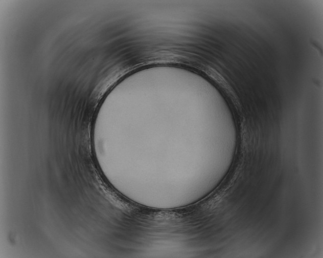 X0000100480842200807031850