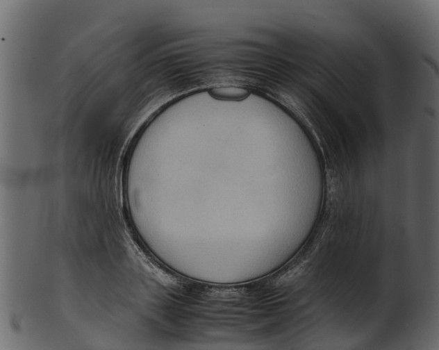 X0000100480843200807031850