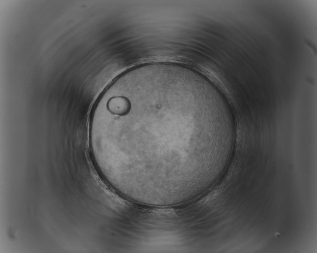 X0000100480844200807031850