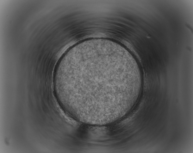 X0000100480845200807031850