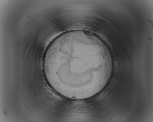 X0000100480846200807031850