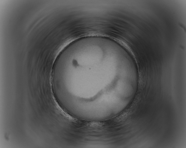 X0000100480847200807031850