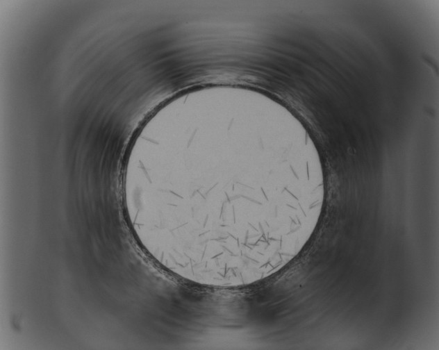 X0000100480848200807031850