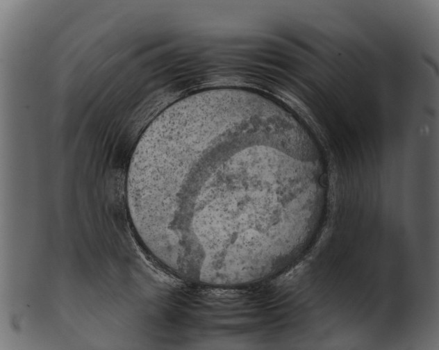 X0000100480849200807031850