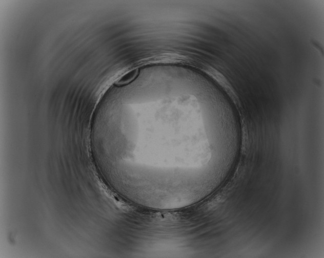 X0000100480850200807031850