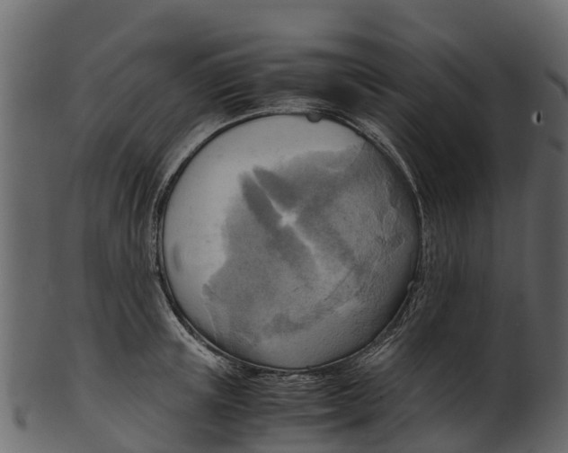 X0000100480851200807031850