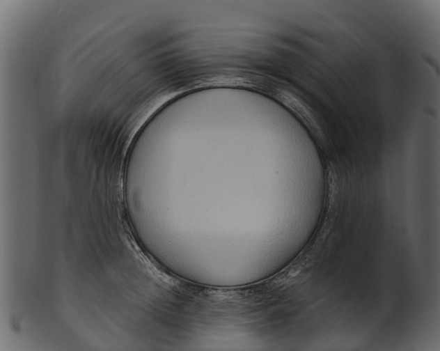 X0000100480852200807031850