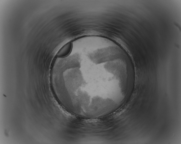 X0000100480853200807031850