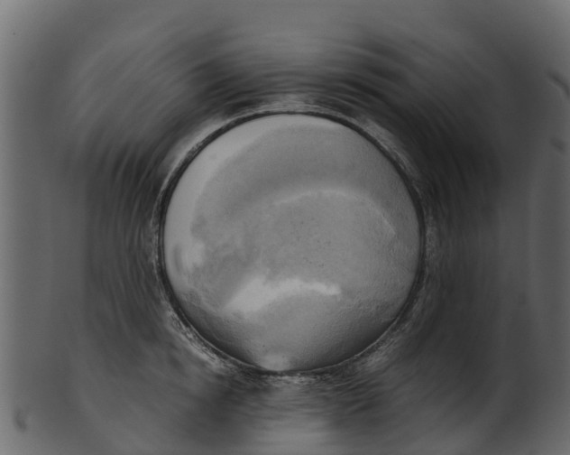 X0000100480854200807031850