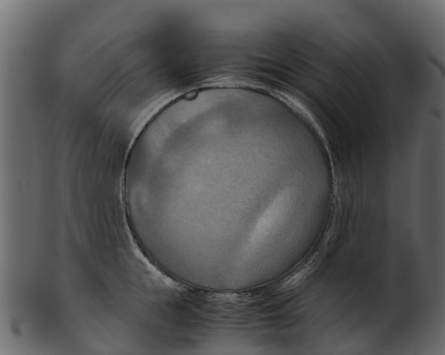 X0000100480855200807031850