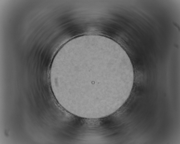 X0000100480856200807031850